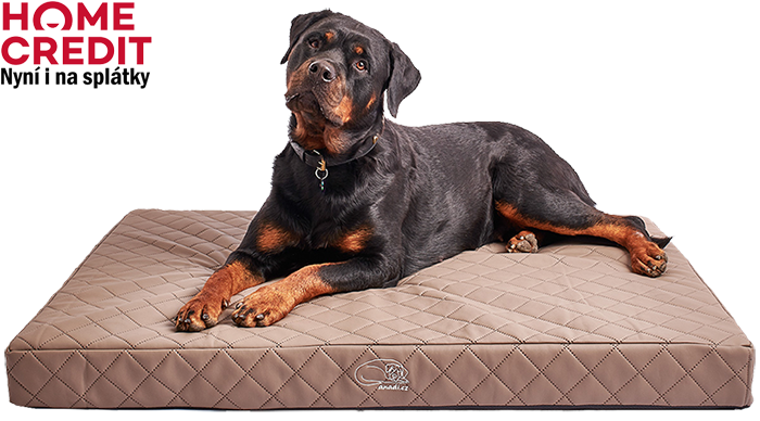 Splatky Gret web web png